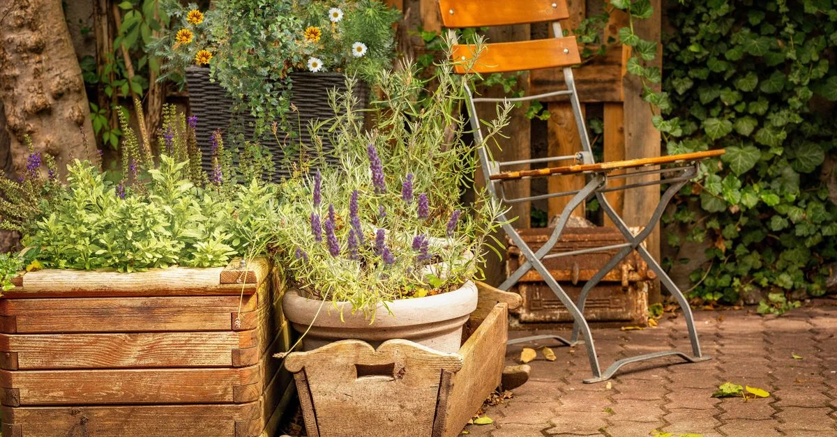 Charmant patio de jardin rustique avec des jardinières en bois remplies de fleurs vibrantes et une chaise pliante.