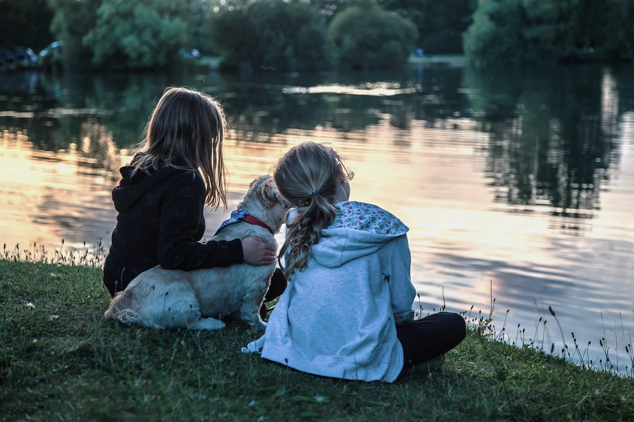 Turismo en Castilla y León con niños: Rutas, naturaleza y gastronomía saludable